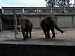 ZOO Liberec 20180516_002